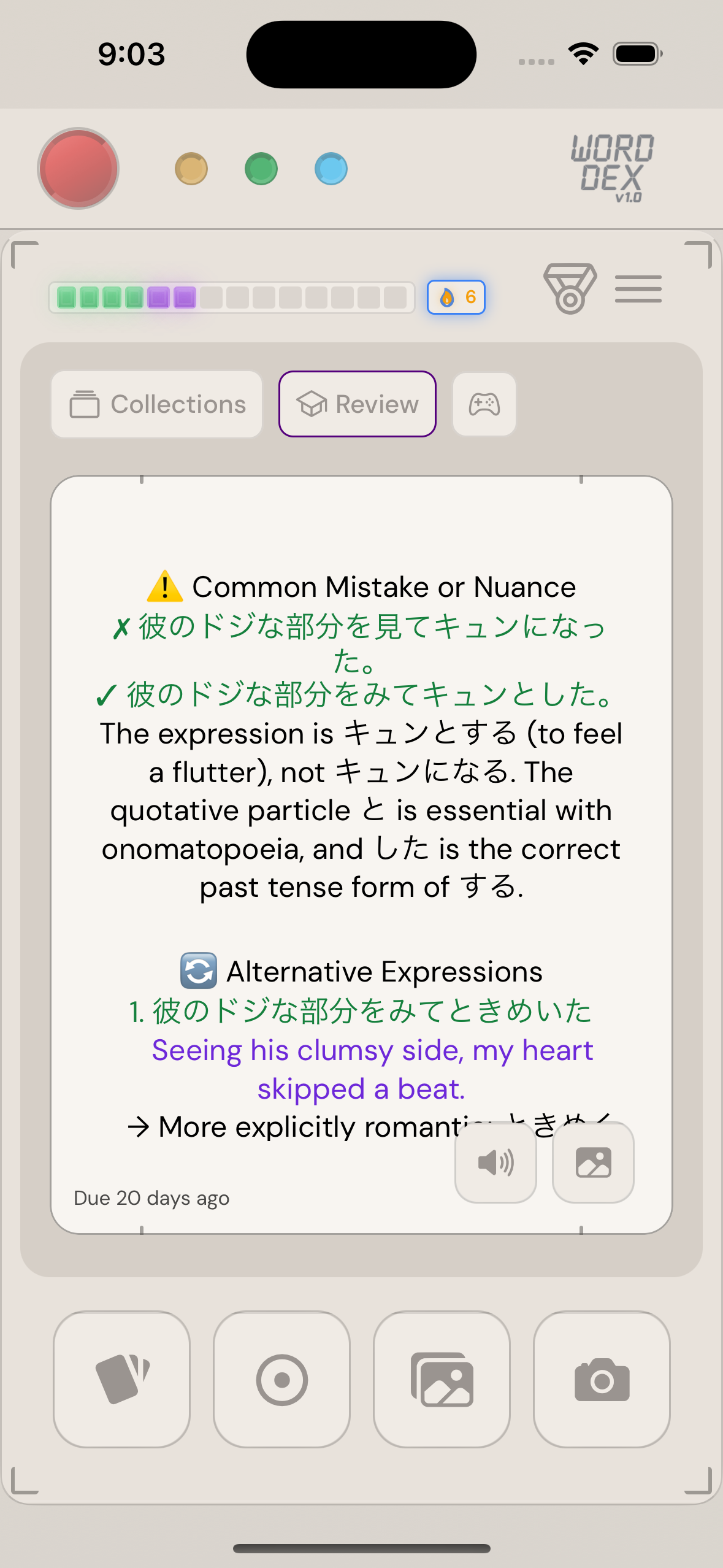 WordDex flashcard with readings and translation.